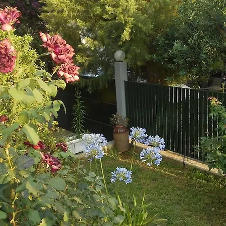 Pela'S Studio 10 Minutes From The Athens Airport Leontari  Dış mekan fotoğraf