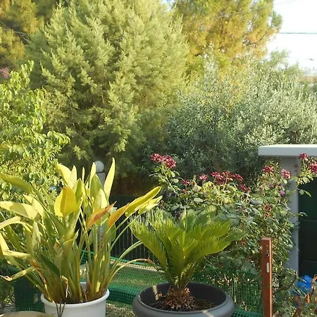 Pela'S Studio 10 Minutes From The Athens Airport Leontari  Dış mekan fotoğraf