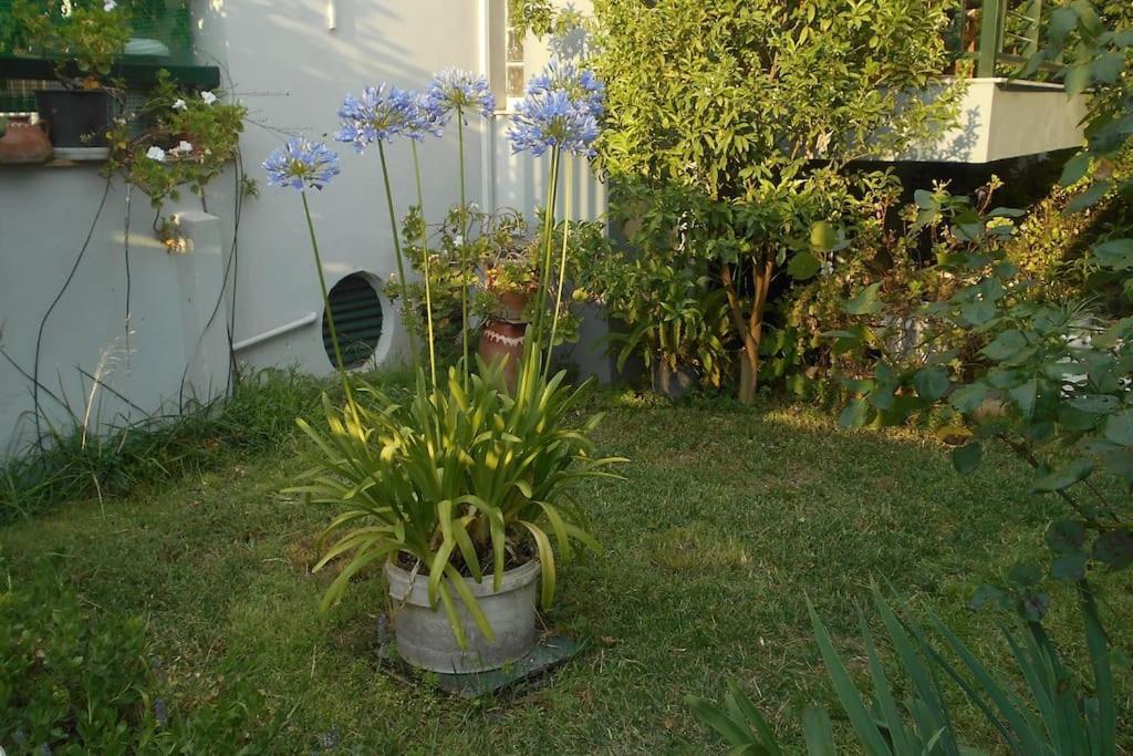 Pela's 10 Minutes From The Athens Airport *