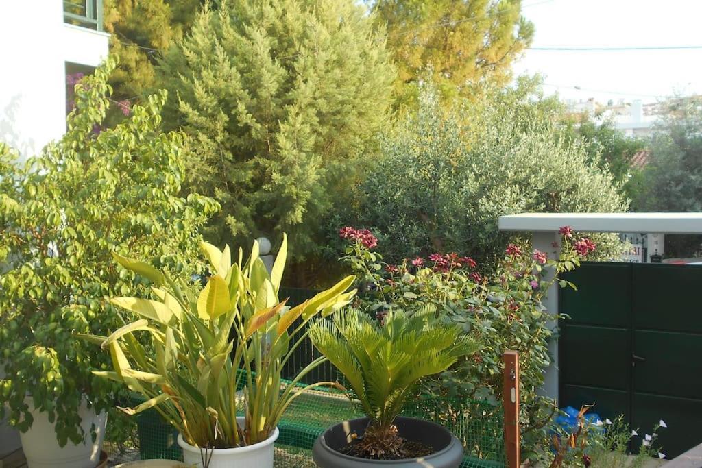Pela's 10 Minutes From The Athens Airport Appartement *
